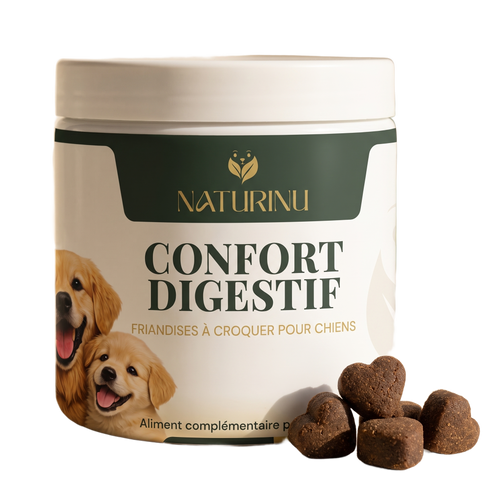 Pot NATURINU Confort Digestif, friandises probiotiques pour chiens, packshot fond blanc